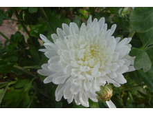 ��������� ���������� "�������� ����������"