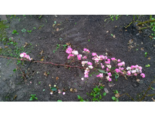 WP 20171015 15 52 42 Pro.jpg