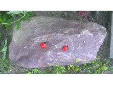 WP 20170628 19 19 34 Pro.jpg