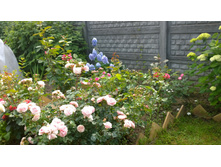 WP 20170721 09 28 57 Pro.jpg