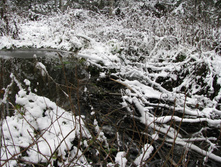 IMG 8022.JPG