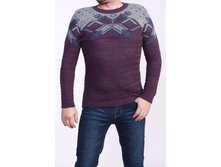 �� 004 ���� 495 ���.