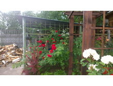 WP 20170730 10 42 23 Pro  highres.jpg