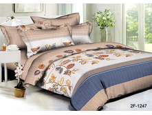 ������ 2F-1247 m+c.jpg