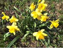 IMG 20170501 151914.jpg