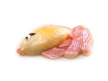 ���� ������ ������ - ��������� ����� 116,00 ���. ���: 85 �