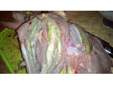 P 20171116 201201.jpg