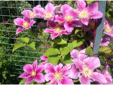 �������� �����