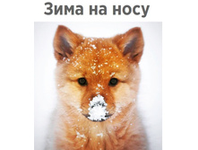 ���� �� ����