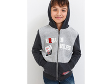 21110130004   Gulliver         -     .jpg