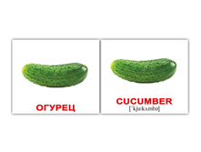 ����� "����-40. Vegetables/�����" 1116 - 134 ���.