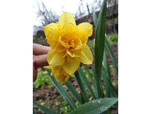 IMG 20170509 134808.jpg