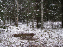 IMG 8014.JPG
