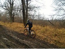 P 20171111 115347.jpg