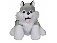 ���������� �������� ����� ���