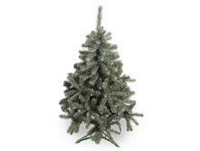 ���\�������: 550-680 ���� ��������� 210�� /�� ����/ 3 690,00 ���. �����: ��������� ���� � �������