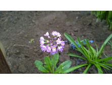 WP 20170508 11 53 15 Pro.jpg