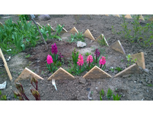 WP 20170504 19 43 52 Pro  highres.jpg