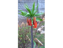 WP 20170504 19 45 18 Pro.jpg