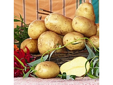 ������� (2 �����������), 26,5���. (�������� 6��).jpg