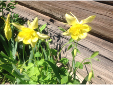 ��������� ������ ������