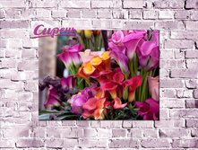 04042 ������� "������������ ����" 60*40