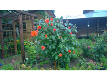 WP 20170706 16 20 13 Pro.jpg