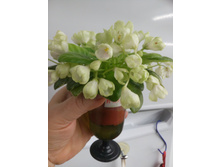 �-����������