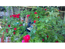 WP 20170716 18 49 14 Pro.jpg