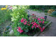 WP 20170728 20 22 21 Pro.jpg