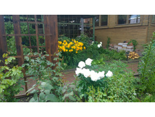 WP 20170701 15 20 47 Pro  highres.jpg