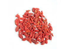 ����� ����� (��������� �) ���. T007/1