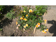 WP 20170713 09 36 00 Pro.jpg