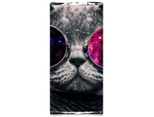 95� ��������� Cosmo cat.jpg