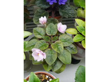 �-�������