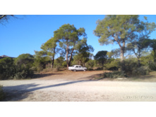 2017-10-22 09-13-13.JPG