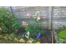 WP 20170910 09 07 18 Pro.jpg