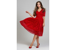 2495 �. DSP-251-29t