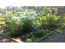 WP 20170820 12 30 27 Pro.jpg