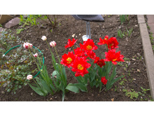 WP 20170527 09 47 22 Pro  highres.jpg