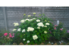 WP 20170728 20 27 32 Pro.jpg