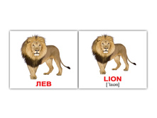 ����� "����-40. Wild animals/����� ��������" 1086 - 123 ���.