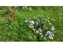 WP 20170820 09 42 37 Pro.jpg