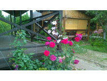 WP 20170730 10 46 24 Pro.jpg