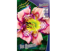 ��� ������ (�����. �����.)*