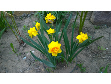 WP 20170520 19 45 23 Pro.jpg