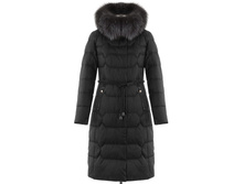 ������ ������ EV-769.jpg