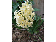 IMG 20170521 164351.jpg