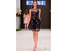 1494835760 emse-2.jpg