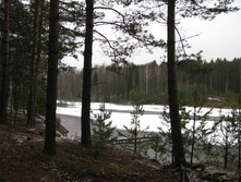 IMG 8089.JPG
